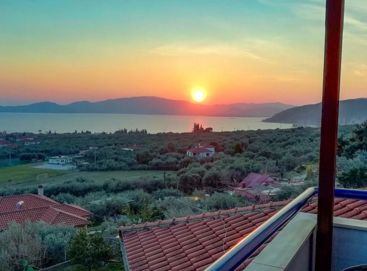 House With Dreamy View Volos Agriá Exterior foto